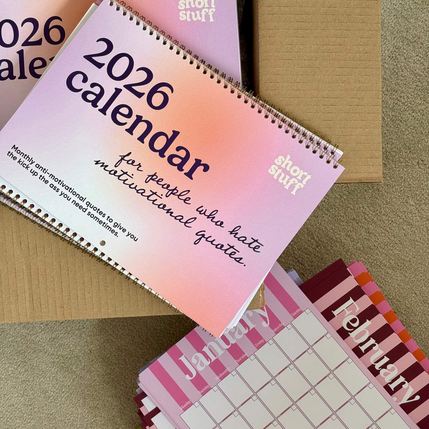 2026 Anti-Motivational Wall Calendar